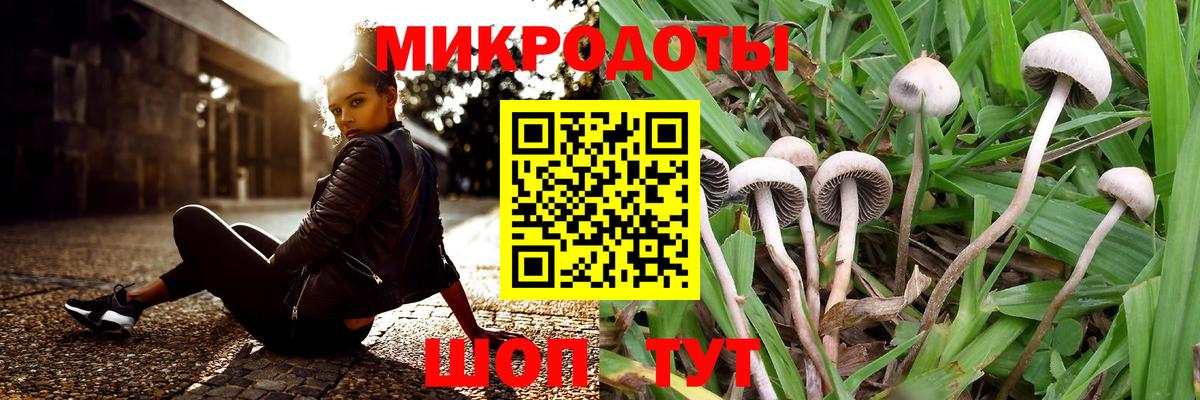 Галлюциногенные грибы Cubensis Канаш
