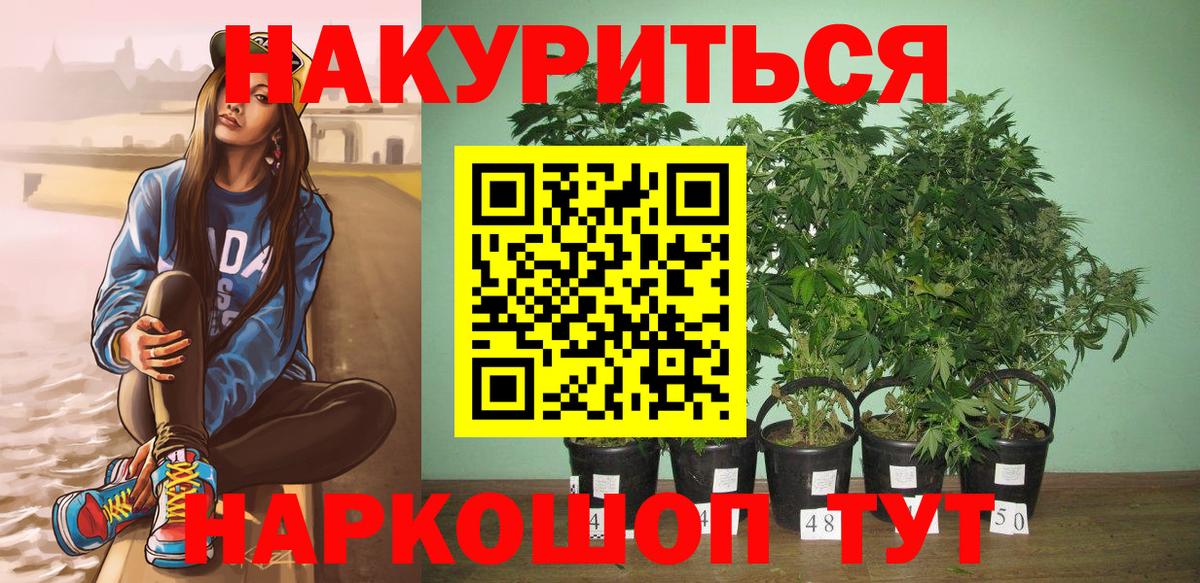 Бошки Шишки Amnesia  Конопля ГИДРОПОН  Канаш  Канабис SATIVA & INDICA  Вход с VPN  Канабис планчик 